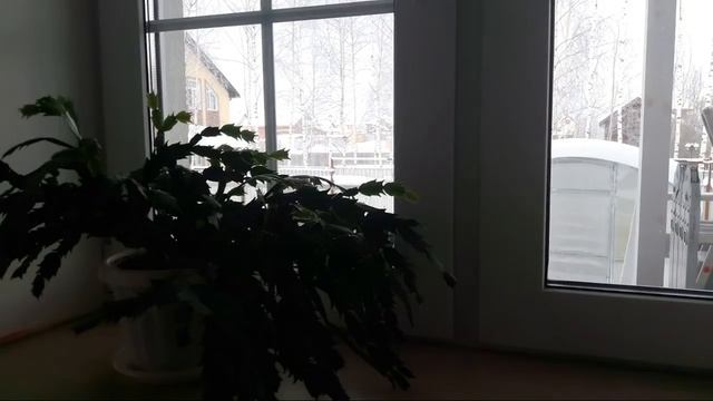 Курица На Запчасти смотреть онлайн