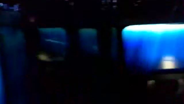 Выставка доисторических животных