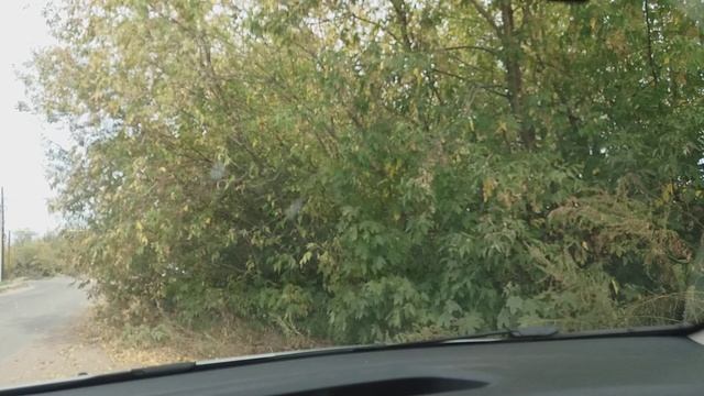 Приехал на приёмку. Медь по 400руб?. Все прошло гладко... смотреть онлайн