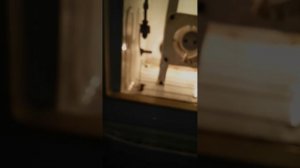 самодельный инкубатор из холодильника. и выводок цыплят в старом инкубаторе.14.05.2023.