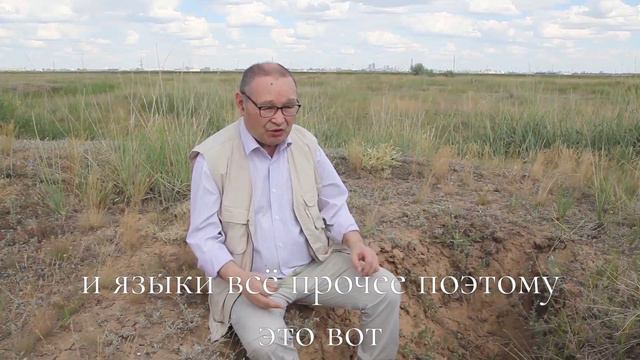 Что такое Всаднический комплекс или всадническая культура? смотреть онлайн