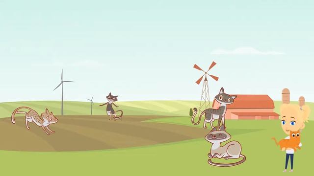 Почему принято считать кошку домашним животным? ЗНАЕМ САМИ! смотреть онлайн