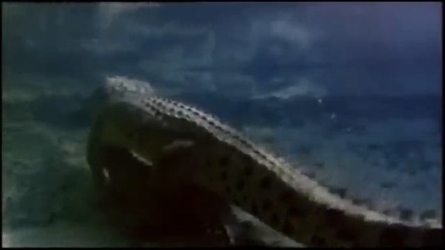 Чудовищные ласки смотреть онлайн