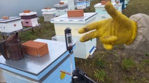 Обработка пчёл от клеща! Обзор сублиматора!