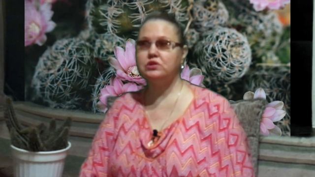 ? эхинопсис - самый старый в моей коллекции (история одного кактуса). комнатные растения. ? смотреть онлайн