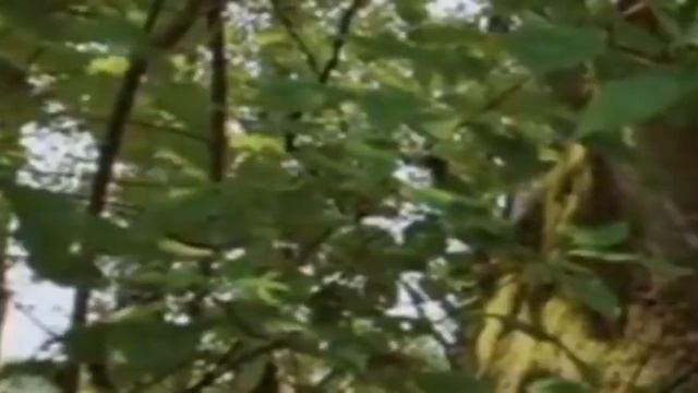 ESTRENO 2021 MEJORES PELÍCULAS DE ACCION смотреть онлайн