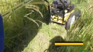 Бензиновая газонокосилка Champion LMH5629