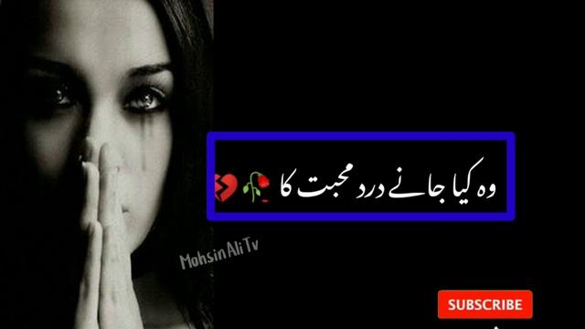 Dard Muhabat | Status Videos ¦ 2023 Status ¦ Urdu Poetry ¦Mohsin Ali Tv смотреть онлайн