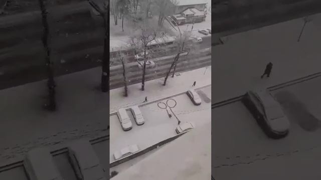 когда попросил повысить зарплату а начальник сказал выглянуть в окно))) смотреть онлайн