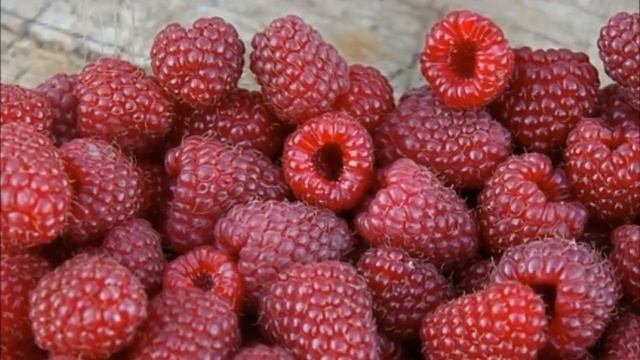 "Малиновое дерево": мифы и реальность смотреть онлайн