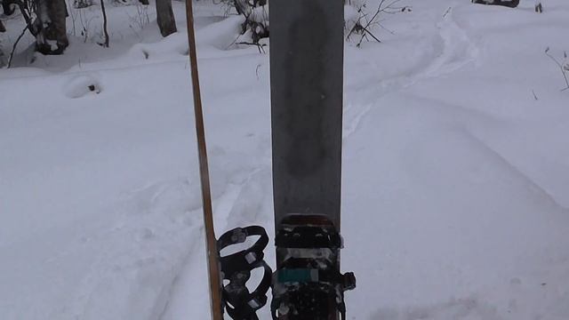 Мои лесные лыжи 2022 г. смотреть онлайн