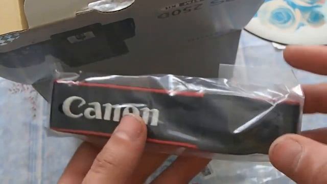 Оправдал ли мои ожидания Canon 250D / Первые впечатления от фотоаппарата смотреть онлайн