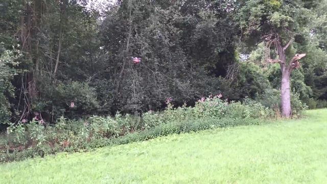 Walkera Runner 250 new edition. смотреть онлайн