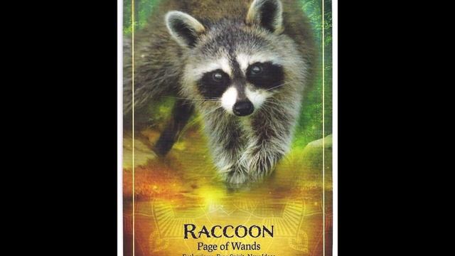 the ARK ANIMAL TAROT & ORACLE Deck - 149 cards - full flip through смотреть онлайн