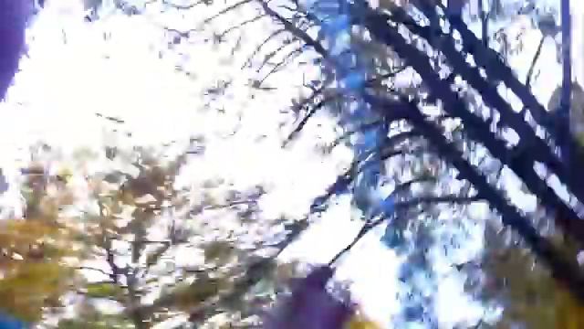 Я катаюсь на школьной цепочке:$ смотреть онлайн