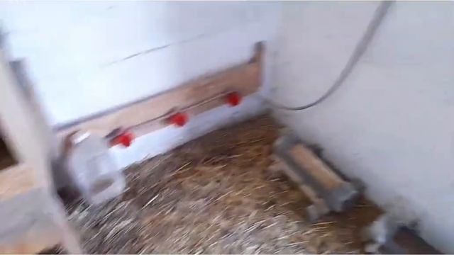 Радуемся солнышку!Чудо скребок,для уборки курятника. смотреть онлайн