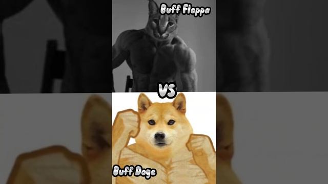 Floppa Vs Doge (4 Rounds) смотреть онлайн