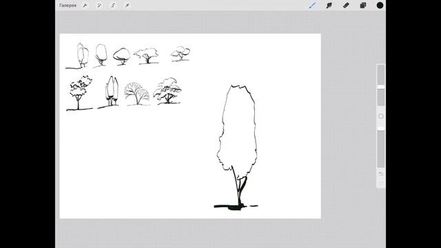 Landscape & Sketching