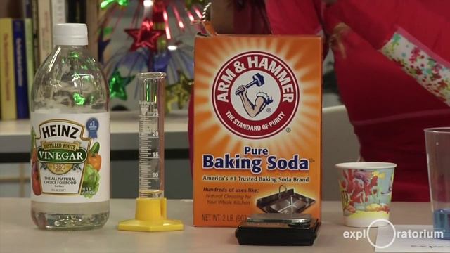 Do the experiment: Ocean Acidification in a Cup - Science Snacks activity смотреть онлайн