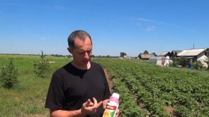 Протравитель клубней картофеля Престиж КС