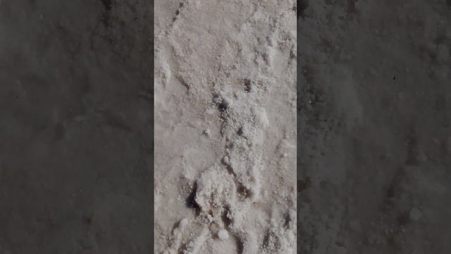 Соленое озеро Бурсоль в Алтайском крае. смотреть онлайн