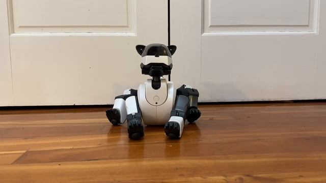 Odd and Obscure Software for the Aibo ERS-210/220 смотреть онлайн