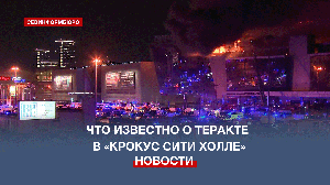Теракт в «Крокус Сити», новости к этому часу
