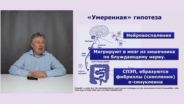 Синдром повышенной эпителиальной проницаемости и нейродегенеративные заболевания. смотреть онлайн