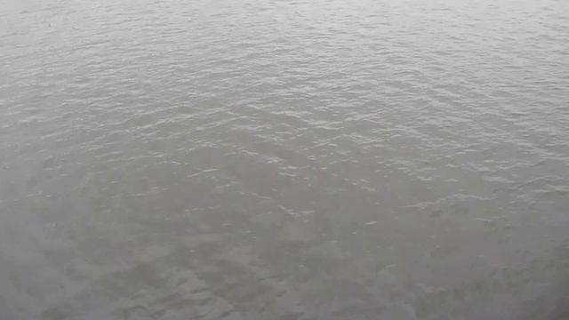 Донецкой зиме говорим: "До свидания" смотреть онлайн