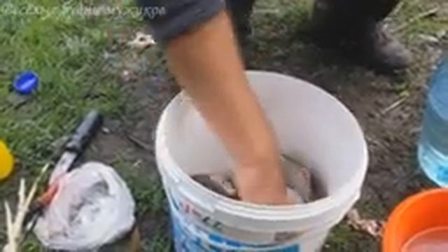 Наша заключительная рыбалка 2018. Часть 3. Готовим рыбу на костре. смотреть онлайн