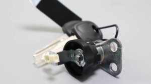 Личинка Двери Левой Портер2