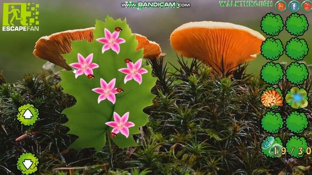 Mushroom Forest Adventure Video Walkthrough смотреть онлайн
