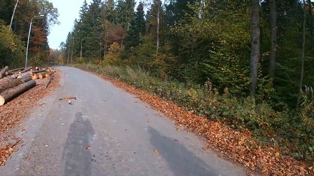 Нашли корабль в лесу катаясь на велосипеде / ВелоБлог #1 смотреть онлайн