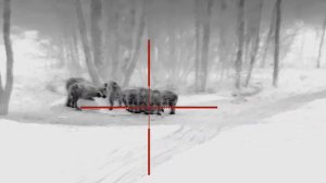 Охота на кабана с тепловизором guide tu650 февраль 2024 г.