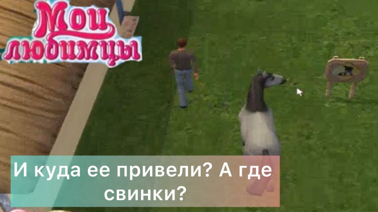 МОИ ЛЮБИМЦЫ - Лошадь есть, СВИНЕЙ НЕТ