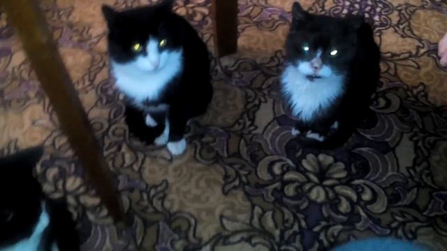 Два отца-Два сына. смотреть онлайн