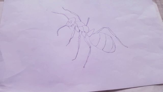 Мои пастельные рисунки смотреть онлайн