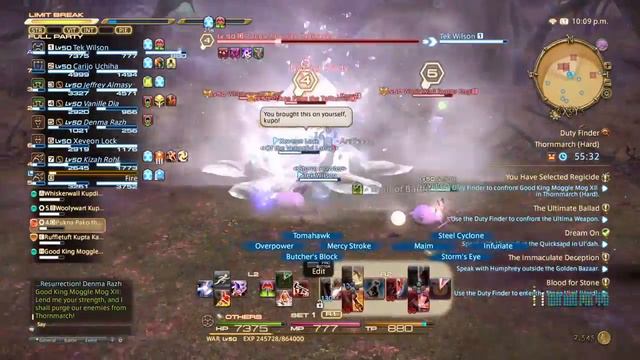FINAL FANTASY XIV KING MOG TANKS DON'T DPS смотреть онлайн