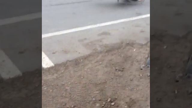 Как правильно делать стоппи на питбайке смотреть онлайн