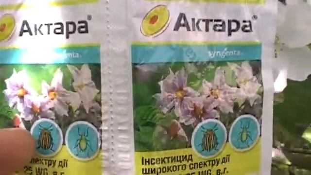 Инсектицид Актара. Боремся с долгоносиком-цветоедом в яблочном саду смотреть онлайн