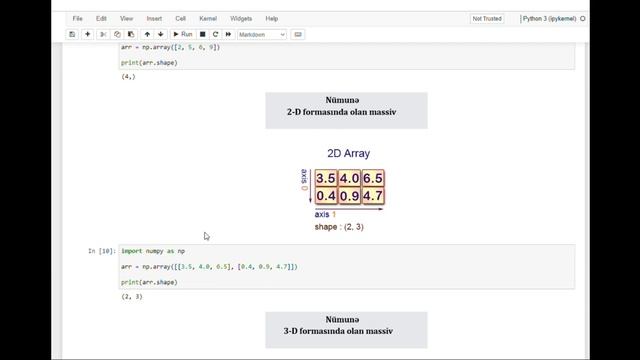 Python da Massivlərin Forma Ölçülərinin Sayının Tapılması dərs-6 смотреть онлайн
