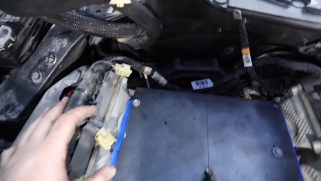 Oscars Mustang Gets Engine Pulled And Frame Repaired! смотреть онлайн