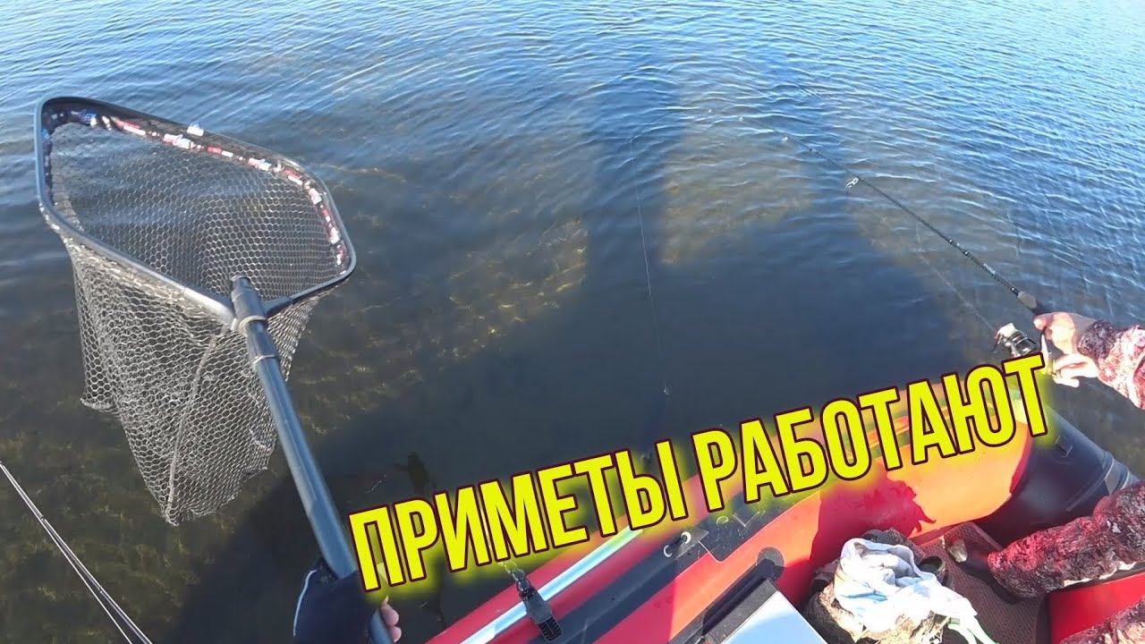 Это ужас!!! Секреты удачи: Один ловит щуку, другой просто смотрит. Приметы работают! смотреть онлайн