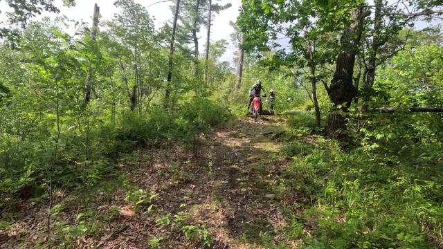 авантюра с новичками