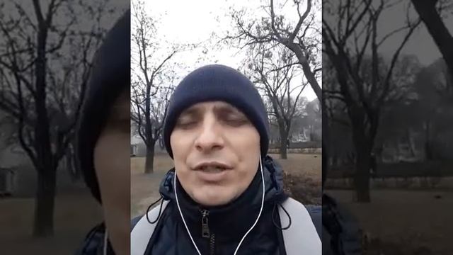 Руководство к Творческой Эффективности