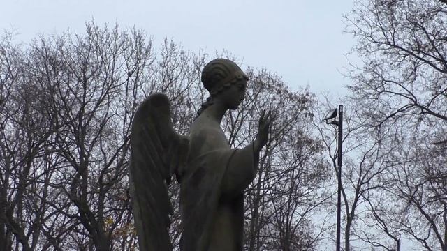 Воронеж экскурсия 6 ноября 2022 смотреть онлайн