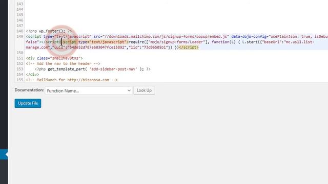Add Mailchimp Popup on WordPress- No plugin смотреть онлайн