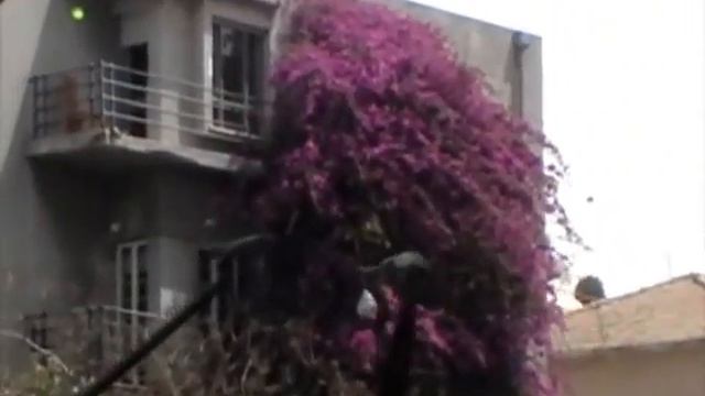 Trip to Israel (part 1) Израиль глазами А.Уклеина (часть 1) смотреть онлайн