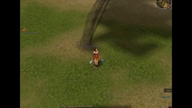 Баг с вещью Metin2 смотреть онлайн