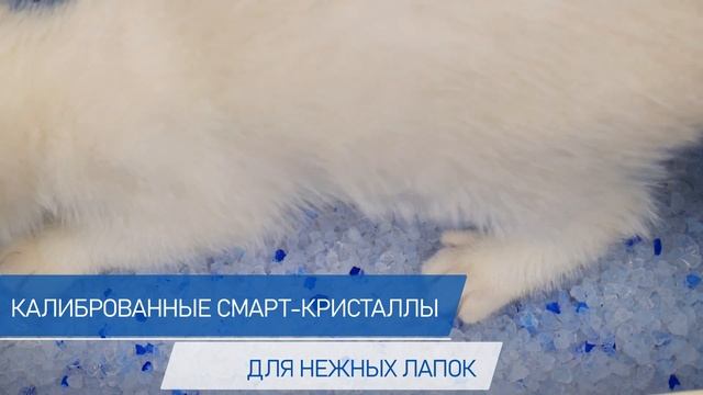 Силикагелевый наполнитель для кошачьего туалета Azure, с ионами серебра смотреть онлайн